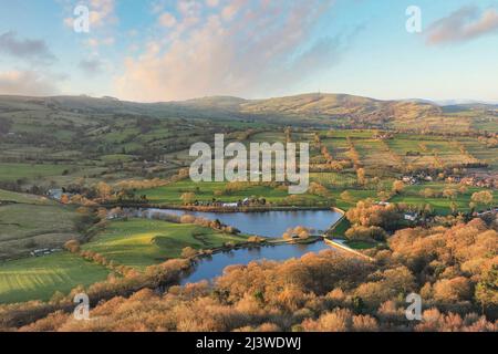 Eier Nase Ansicht Eier Nase Land Park Pack Bezirk Stockfoto