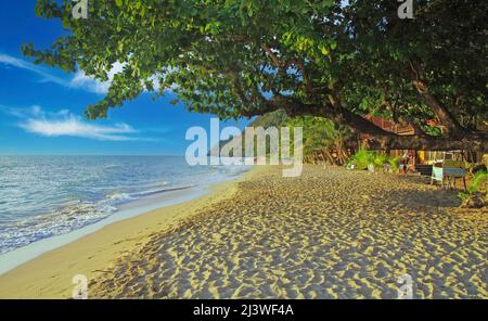 Ko Chang, Thailand - Dezember 7. 2018: Blick auf den weißen Sandstrand mit grünen Bäumen und Bambushäusern aus Holz Stockfoto
