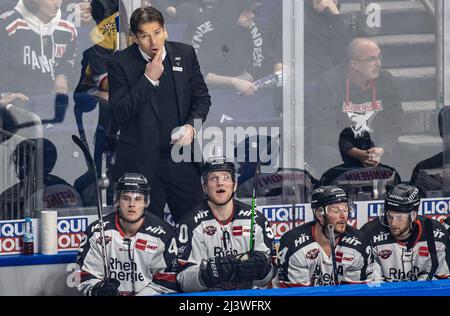 Berlin, Deutschland. 10. April 2022. Eishockey: DEL, Eisbären Berlin - Kölner Haie, Meisterschaftsrunde, Viertelfinale, Spieltag 1, Mercedes-Benz Arena. Trainer Uwe Krupp (hinten) von den Kölner Haien folgt dem Spiel. Quelle: Andreas Gora/dpa/Alamy Live News Stockfoto