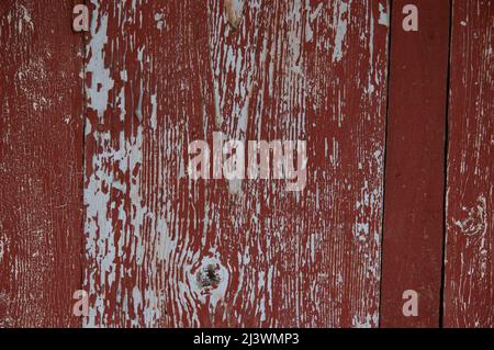 Grunge Hintergrund: Abgestreifte alte Bretter mit roter Farbe bemalt Stockfoto
