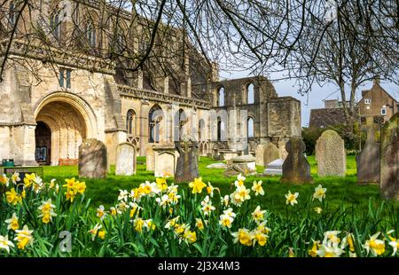 Malmesbury Abbey, Wiltshire in der frühen Frühlingssonne Stockfoto