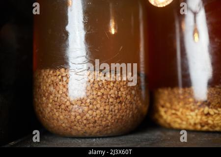 Alkoholisches Getränk, Tinktur mit einer Schlange. Alkoholisches Getränk mit Schlangengift infundiert. Hausgemachter Alkohol mit Zusatz von Schlange und Kräutern Stockfoto