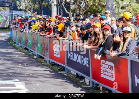 Melbourne, Victoria, Australien. 10. April 2022. MELBOURNE, AUSTRALIEN - 10. APRIL: Fanatmosphäre beim Formel-1-Grand-Prix von Australien am 10.. April 2022 2022, dem größten im Albert Park (Bildquelle: © Chris Putnam/ZUMA Press Wire) Bildquelle: ZUMA Press, Inc./Alamy Live News Stockfoto