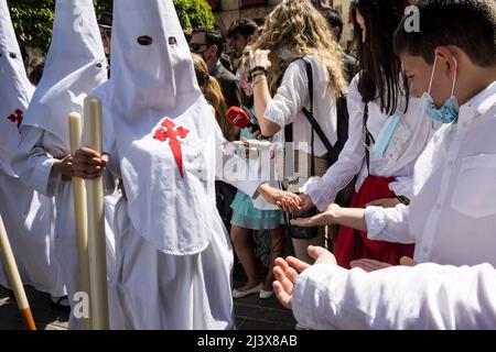 Sevilla, Spanien. 10. April 2022. Ein Bußkind der Bruderschaft namens ''La Borriquita'' gibt während seiner Parade zur Kathedrale am Palmsonntag, ''Domingo de Ramos'', auf Spanisch eine Süßigkeit (Bildquelle: © Daniel Gonzalez Acuna/ZUMA Press Wire) Bildquelle: ZUMA Press, Inc./Alamy Live News Stockfoto