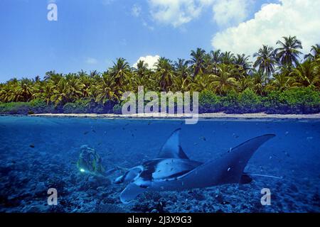 Split image, maldivian Island and Giant Oceanic Manta ray or Giant Manta ray (Manta birostris), in blue water, Ari Atoll, Maldives, Indian Ocean, Asien Stockfoto