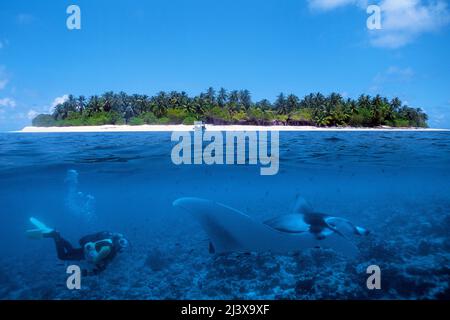 Split image, maldivian Island and Giant Oceanic Manta ray or Giant Manta ray (Manta birostris), in blue water, Ari Atoll, Maldives, Indian Ocean, Asien Stockfoto