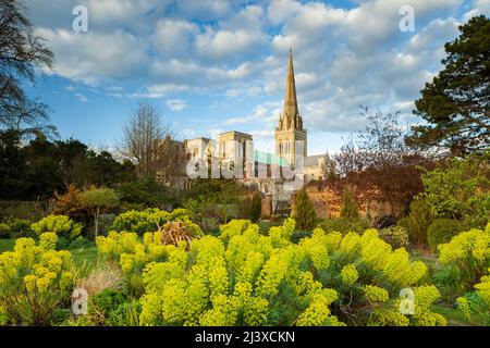 Frühlingsuntergang im Bishop's Garden in Chichester, West Sussex, England. Chichester Kathedrale in der Ferne. Stockfoto