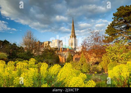 Sonnenuntergang im April im Bishop's Palace Garden, Chichester Cathedral in der Ferne. Chichester, West Sussex, England. Stockfoto