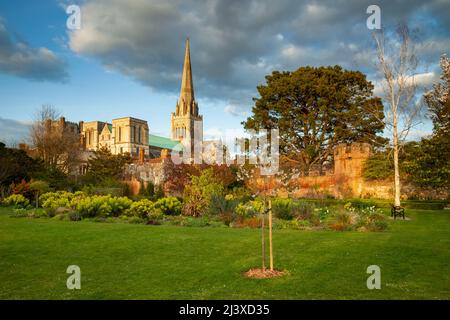 Sonnenuntergang im April im Bishop's Palace Garden, Chichester Cathedral in der Ferne. Chichester, West Sussex, England. Stockfoto