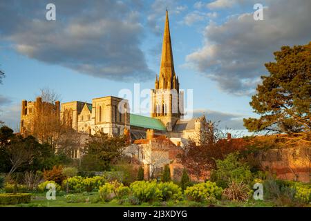 Sonnenuntergang im April im Bishop's Palace Garden, Chichester Cathedral in der Ferne. West Sussex, England. Stockfoto