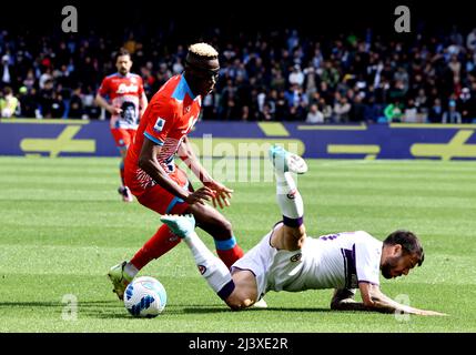 NEAPEL, ITALIEN - 10. APRIL: Victor Osimhen vom SSC Napoli tritt mit Lorenzo Venuti vom ACF Fiorentina während des Serie-A-Spiels zwischen SSC Napoli und ACF Fiorentina am 10. April 2022 in Neapel, Italien, um den Ball an. (Foto nach MB-Medien) Stockfoto