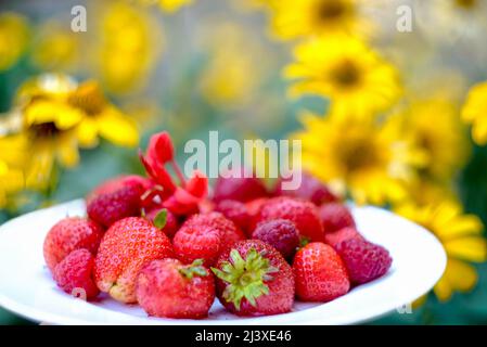 Erdbeeren und Himbeeren auf einem weißen Teller auf gelbem Hintergrund. Geringe Schärfentiefe. Stockfoto