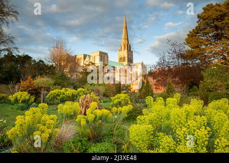 Sonnenuntergang im Frühling in der Chichester Cathedral in West Sussex, England. Stockfoto