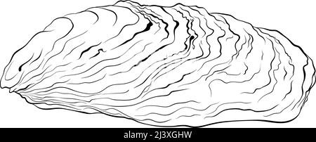 Oyster Shell Line Art Stock Vektor