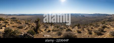 Panorama des Queen Valley vom Ryan Mountain im Joshua Tree National Park Stockfoto