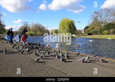 Starker Wind im Frühling im Regents Park in London, Großbritannien Stockfoto