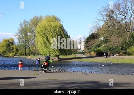 Starker Wind im Frühling im Regents Park in London, Großbritannien Stockfoto