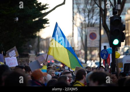 Stand für Protest in der Ukraine, London in der Nähe der russischen Botschaft, Krähe auf der Straße mit ukrainischer Flagge, die für Demokratie und Menschenrechte einsteht Stockfoto