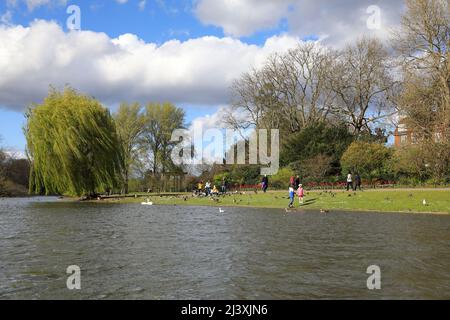 Starker Wind im Frühling im Regents Park in London, Großbritannien Stockfoto