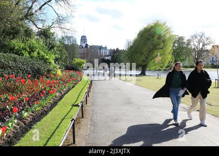 Starker Wind im Frühling im Regents Park in London, Großbritannien Stockfoto