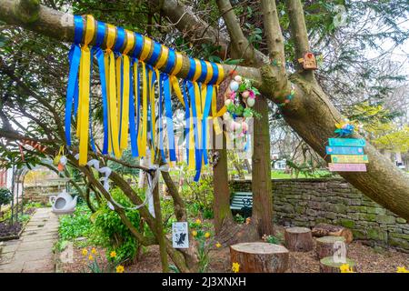 Blaue und gelbe Bänder, die in einem öffentlichen Garten in Penrith, Cumbria, Großbritannien, an einen Zweig eines Baumes gebunden sind Stockfoto