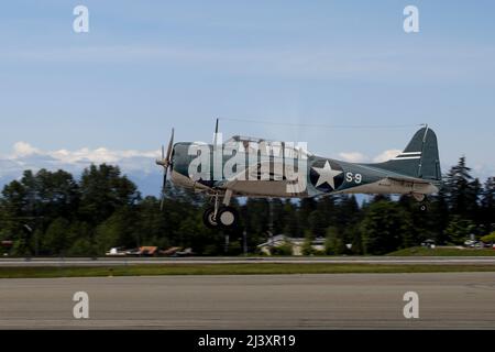 Douglas SBD Dauntless beim Start von Paine Field, Everett Washington Stockfoto