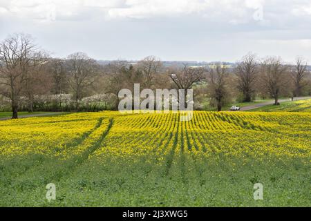 Das Mercure Warwickshire Walton Hall Hotel & Spa ist ein denkmalgeschütztes Gebäude aus dem 16.. Jahrhundert auf einem 65 Hektar großen privaten Grundstück Stockfoto