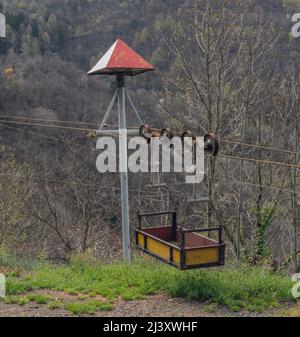 Garten Seilbahn in Bellinzona Stadt auf Hang Hügel über im Frühling Morgen Stockfoto