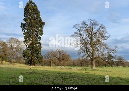 Das Mercure Warwickshire Walton Hall Hotel & Spa ist ein denkmalgeschütztes Gebäude aus dem 16.. Jahrhundert auf einem 65 Hektar großen privaten Grundstück Stockfoto