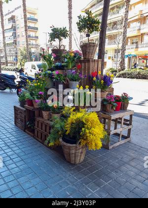 Barcelona, Spanien - 17. Februar 2022: Farbenfroher Blumenstand auf einer Straße in Barcelona, Spanien Stockfoto