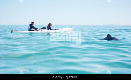 Sie entdeckten etwas im tiefblauen Wasser. Aufnahme eines jungen Paares, das einen Delphin beim Kajakfahren an einem See erspätet. Stockfoto