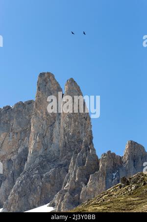 Bergkrüge fliegen über die Gipfel von Ansabere, französische pyrenäen Stockfoto