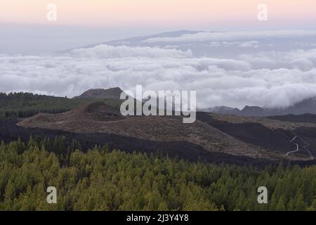 Blick über die vulkanische Landschaft mit Pinien, Chinyero Naturschutzgebiet im Nordwesten von Teneriffa Kanarische Inseln Spanien. Stockfoto