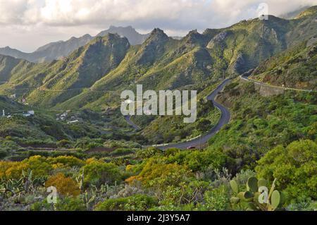 Straße durch das Anaga-Gebirge mit üppiger grüner Vegetation im Nordosten von Teneriffa Kanarische Inseln Spanien. Stockfoto