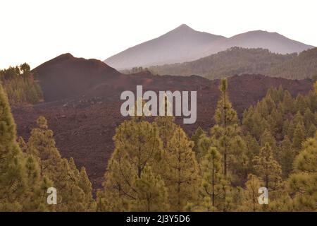 Montaña El Chinyero Vulkan und Teide 3718 m hoher Gipfel im Hintergrund, nordwestlich von Teneriffa Kanarische Inseln Spanien. Stockfoto