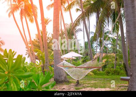 Korbhängematte auf Palmen auf dem Rasen, inmitten von tropischem Grün. Ruhe und Entspannung. Urlaub Thailand. Stockfoto