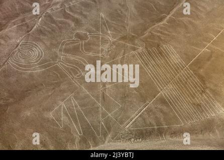 Affe Geoglyph, Nazca oder Nasca geheimnisvolle Linien und Geoglyphen Luftbild, Wahrzeichen in Peru Stockfoto