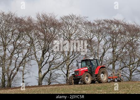 Ein Red Massey Ferguson Traktor mit einem Reversible Pflug, der im Frühjahr auf einem Feld vor einer Reihe von Buchenbäumen (Fagus sylvatica) arbeitet Stockfoto