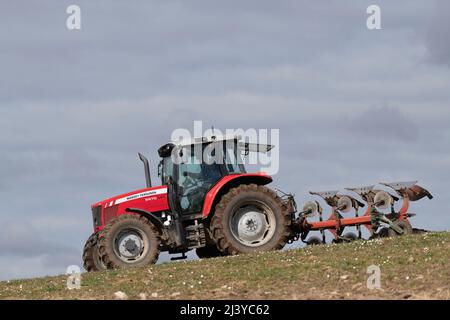 Ein Red Massey Ferguson-Traktor, der bei Sonnenschein im Frühling ein Grasfeld bergab pflügt Stockfoto