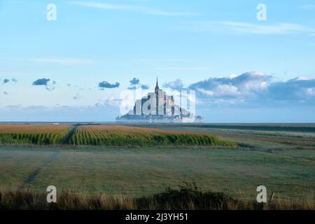 Magischer Mont Saint Michel und Wiesen, Normandie, Frankreich Stockfoto