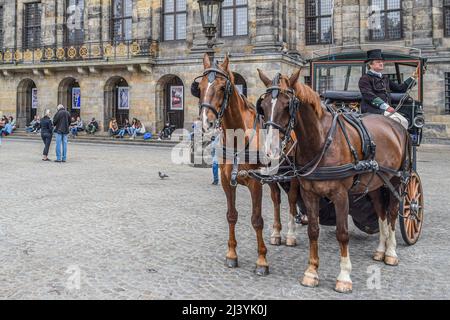 AMSTERDAM, NIEDERLANDE, 3. JUNI 2016: Ansicht einer Pferdekutsche und der historischen Gebäude in Amsterdam, Niederlande am 3. Juni 2016. Stockfoto