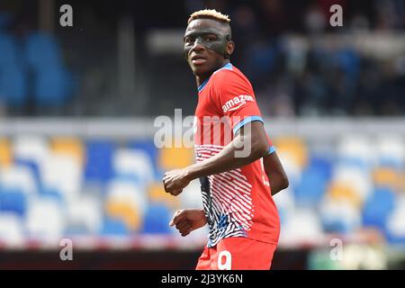 Neapel, Italien . 10. April 2022. Victor Osimhen von SSC Napoli während der Serie Ein Spiel zwischen SSC Napoli und ACF Fiorentina im Stadio Diego Armando Maradona Neapel Italien am 10. April 2022. (Foto Franco Romano) Quelle: Franco Romano/Alamy Live News Stockfoto