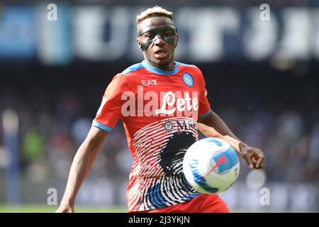 Neapel, Italien . 10. April 2022. Victor Osimhen von SSC Napoli während der Serie Ein Spiel zwischen SSC Napoli und ACF Fiorentina im Stadio Diego Armando Maradona Neapel Italien am 10. April 2022. (Foto Franco Romano) Quelle: Franco Romano/Alamy Live News Stockfoto