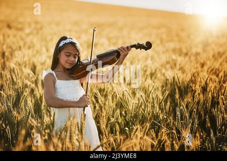 Spielen Sie mit zum Lied in Ihrem Herzen. Porträt eines niedlichen kleinen Mädchens, das in einem Kornfeld auf der Geige spielt. Stockfoto