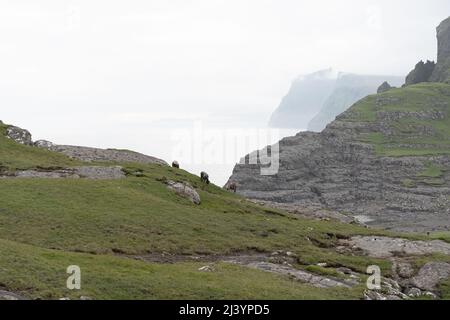 Wunderschöne filmische Luftaufnahme des Wasserfalls von Bøsdalafossur und des Sees von Trælanípan - Lagune herrliche Wahrzeichen auf den Färöer Inseln Stockfoto