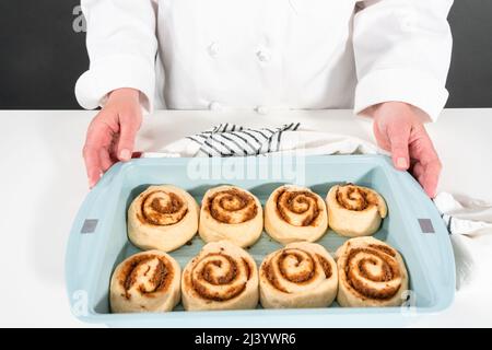 Ungebackene Zimtbrötchen in einer blauen Backform. Stockfoto