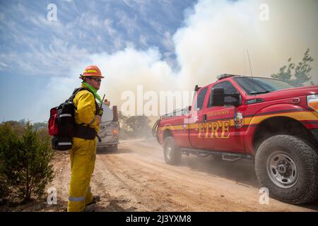 Der Texas A&M Forest Service unterstützt die Bemühungen, den Brand im Abbruchbereich des JBSA-Camp Bullis am 10. April 2022 zu löschen. Zu den weiteren Organisationen, die bei der Eindämmung des Feuers helfen, gehören: JBSA FES, Leon Springs FD, San Antonio FD, Bexar County ESD 10, Bexar County ESD 12, Bexar-Bulverde FD, Bulverde Spring-Vranch FD, Bexar County ESD 10, Texas Forestry Service, Texas Interstate Fire, Mutual Aid System (TIFMAS), District 7 Fire Rescue, Bexar County Office of, Emergency Management, Texas Division of Emergency Management, Und Canyon Lake FD. Das JBSA-Camp Bullis umfasst mehr als 27.000 Hektar Stockfoto