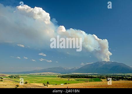 Feuer auf Chief Joseph Mountain, Wallowa Valley, Oregon Stockfoto