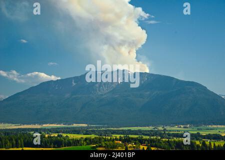 Feuer auf Chief Joseph Mountain, Wallowa Valley, Oregon Stockfoto