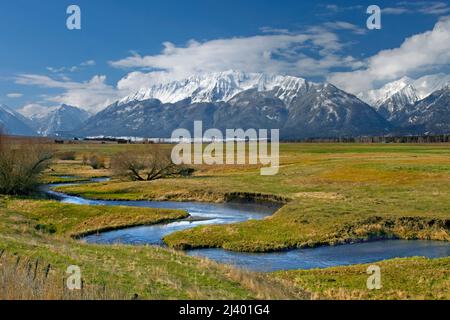 Perleys Creek, Wallowa Valley, Oregon Stockfoto